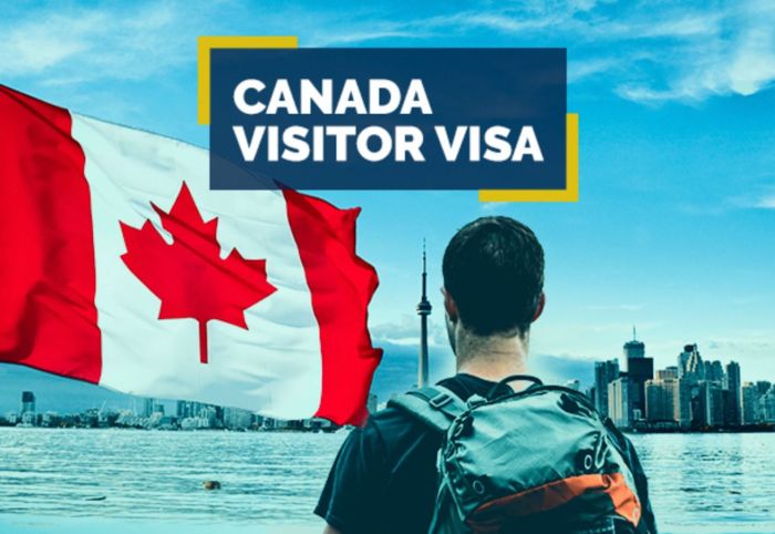 Visas visitor zameen apply