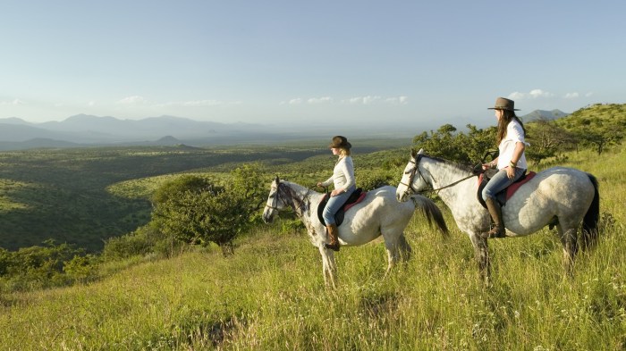 Vacations rwanda safari uganda birding safaris gorilla travels